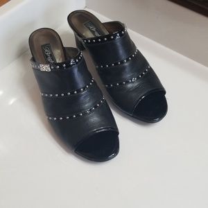 Brighton open to mules